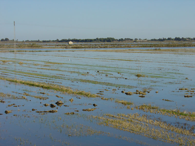 Foto de Massanassa (València), España