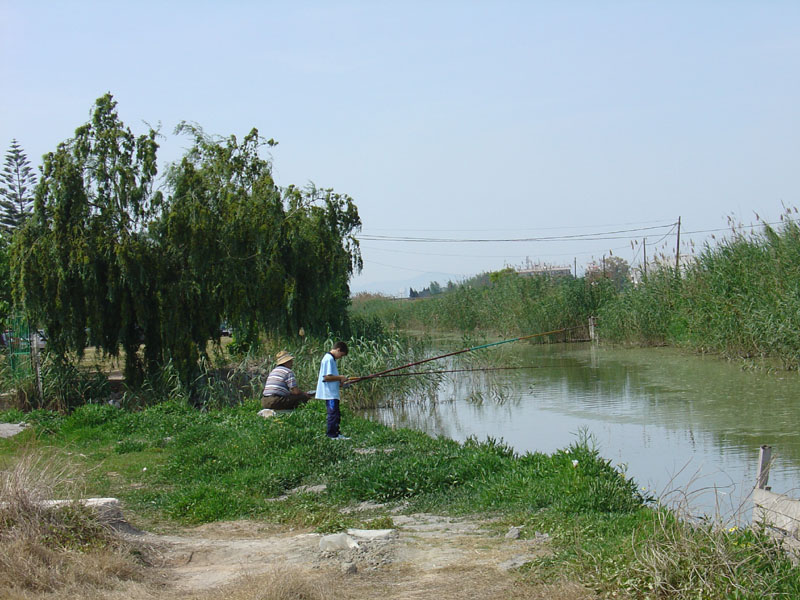 Foto de Alfafar (València), España