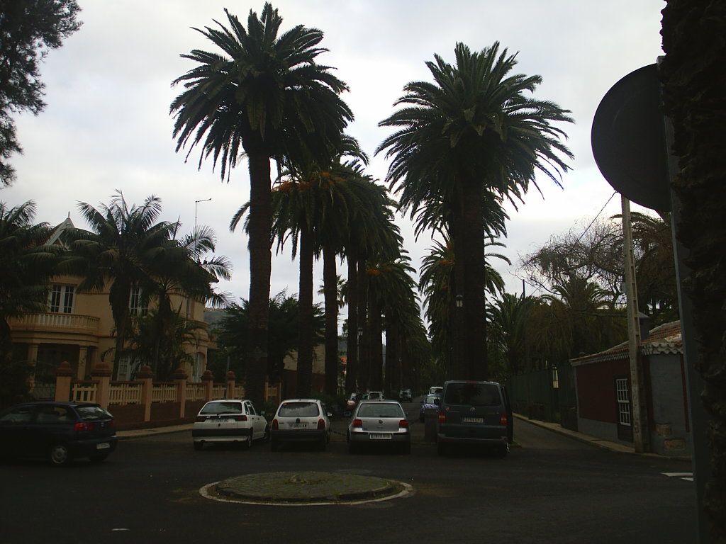 Foto de La Laguna (Santa Cruz de Tenerife), España
