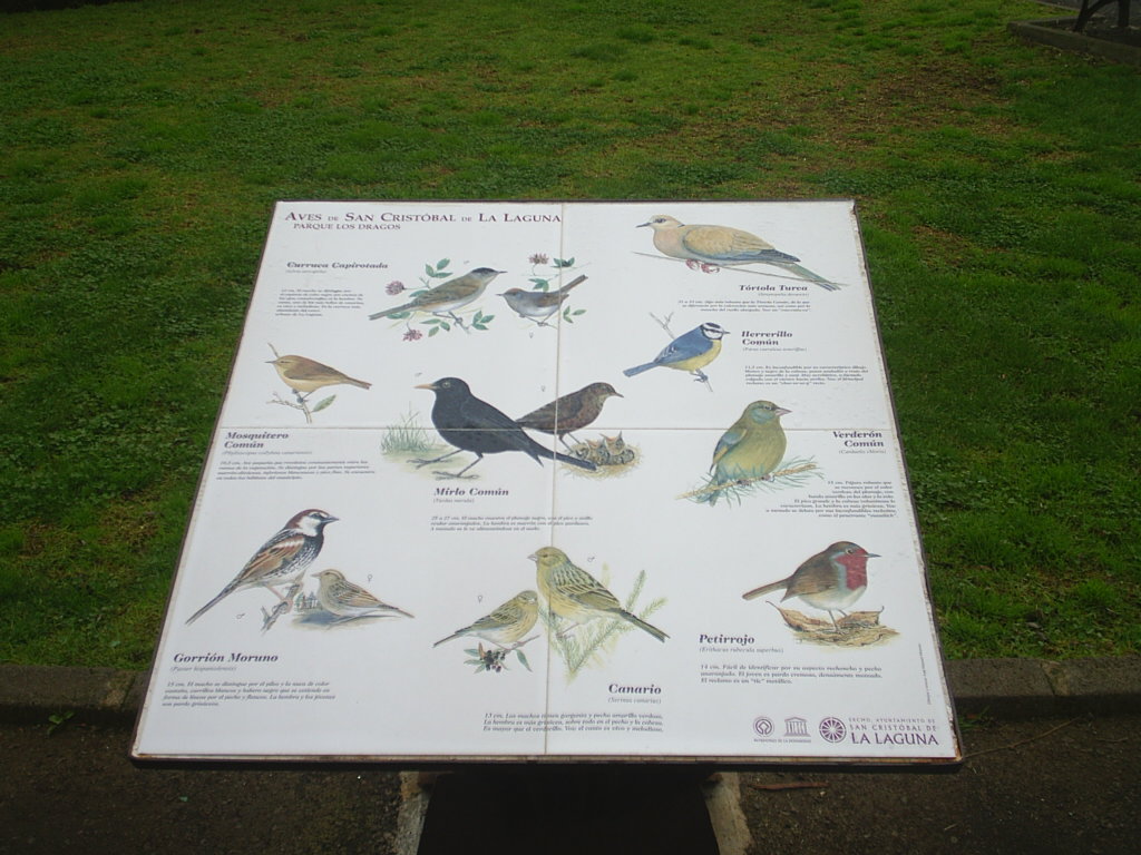 Foto de La Laguna (Santa Cruz de Tenerife), España