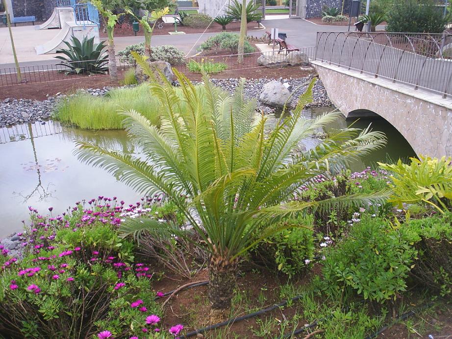 Foto de La Laguna (Santa Cruz de Tenerife), España