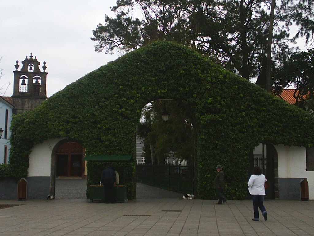 Foto de La Laguna (Santa Cruz de Tenerife), España