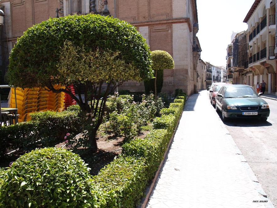 Foto de Lucena (Córdoba), España