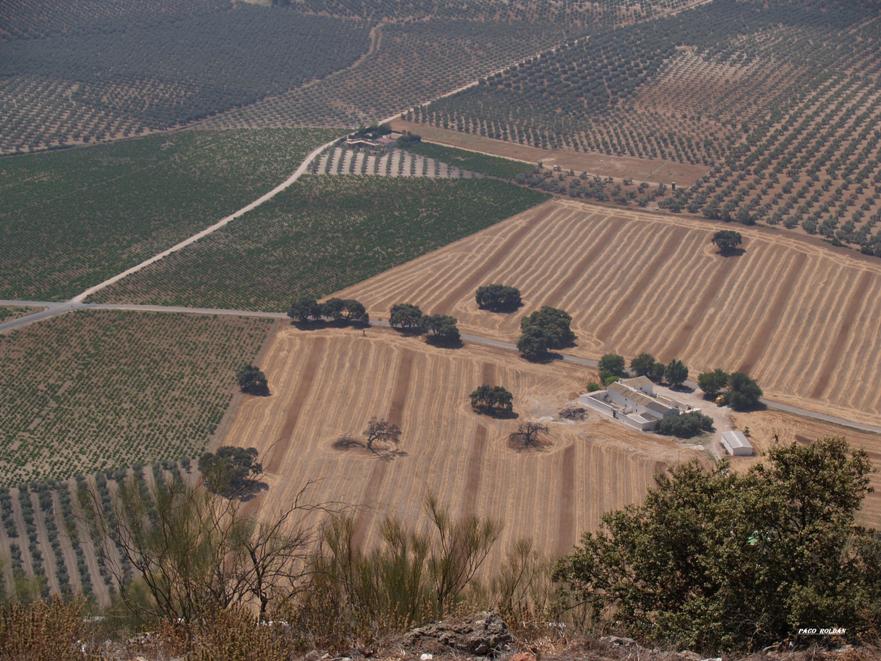 Foto de Lucena (Córdoba), España