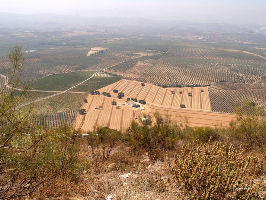 Foto de Lucena (Córdoba), España