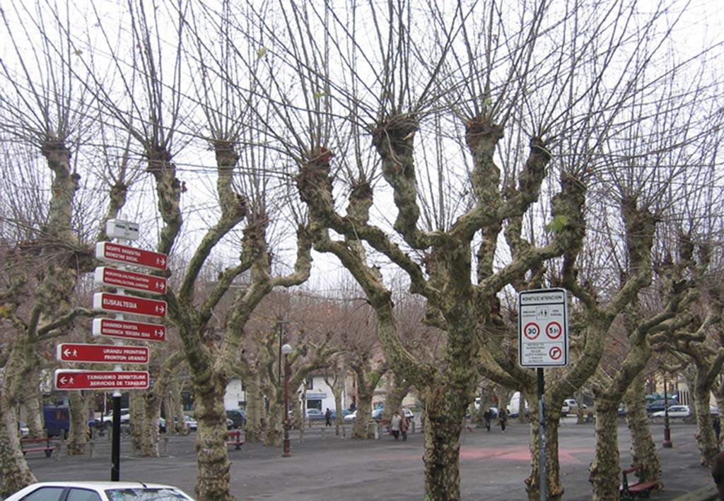 Foto de Irun (Gipuzkoa), España