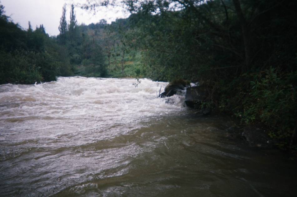 Foto de Arroyo (Cantabria), España