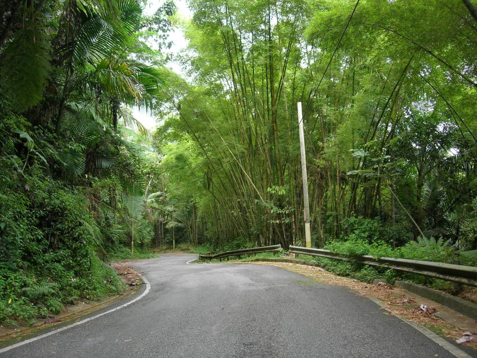 Foto de Adjuntas, Puerto Rico