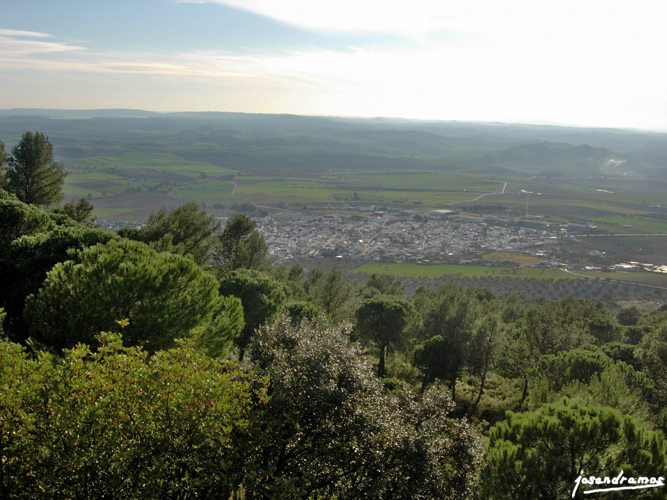 Foto de Montellano (Sevilla), España