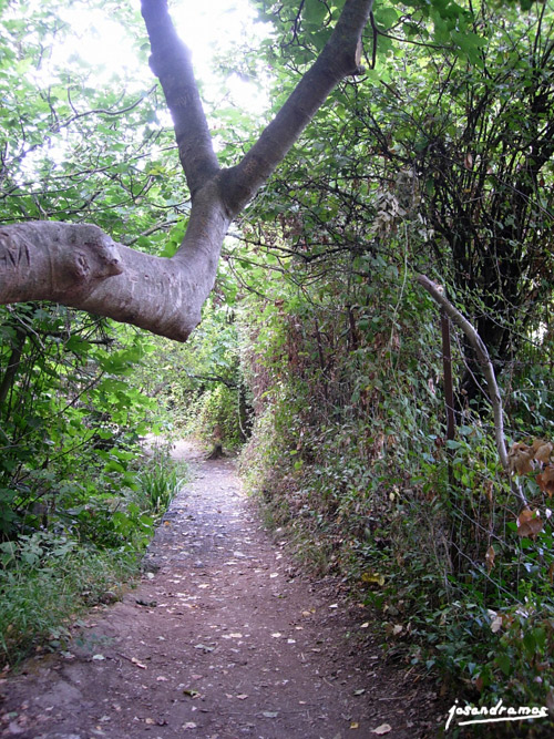 Foto de Benamahoma (Cádiz), España