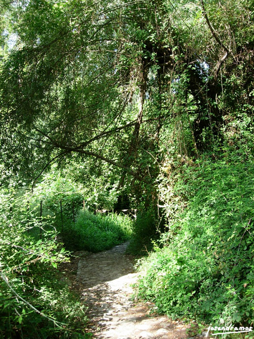 Foto de Benamahoma (Cádiz), España