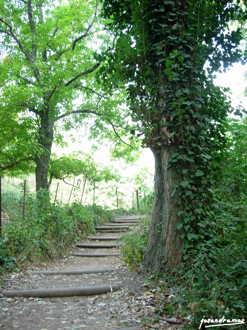 Foto de Benamahoma (Cádiz), España