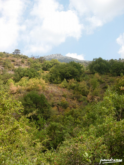 Foto de Benamahoma (Cádiz), España