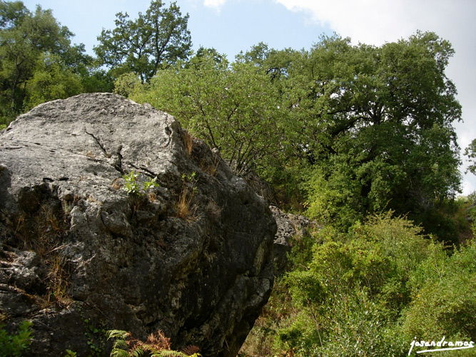 Foto de Benamahoma (Cádiz), España