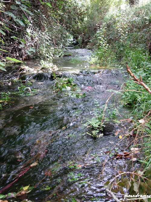 Foto de Benamahoma (Cádiz), España