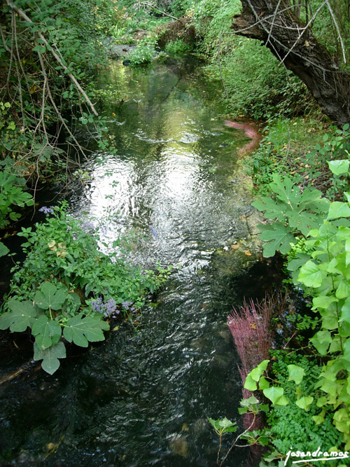 Foto de Benamahoma (Cádiz), España