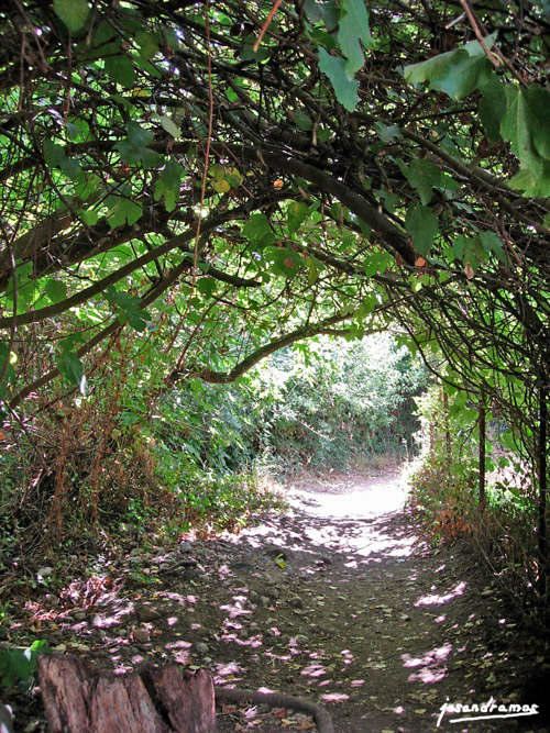 Foto de Benamahoma (Cádiz), España