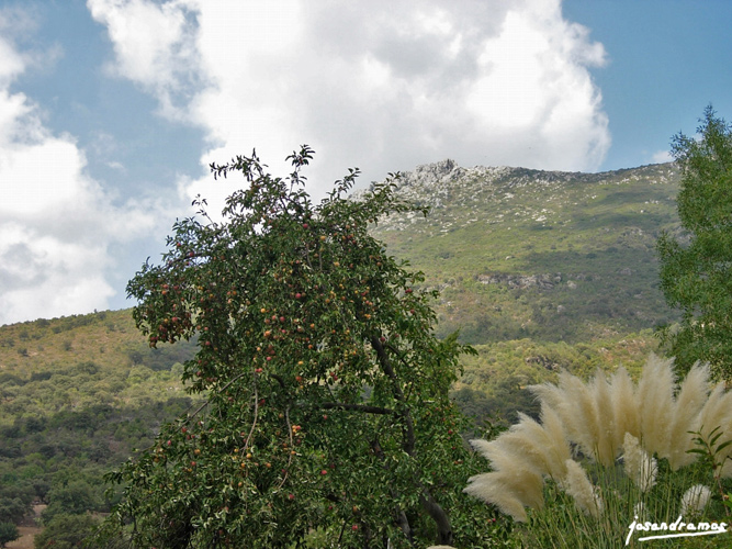 Foto de Benamahoma (Cádiz), España