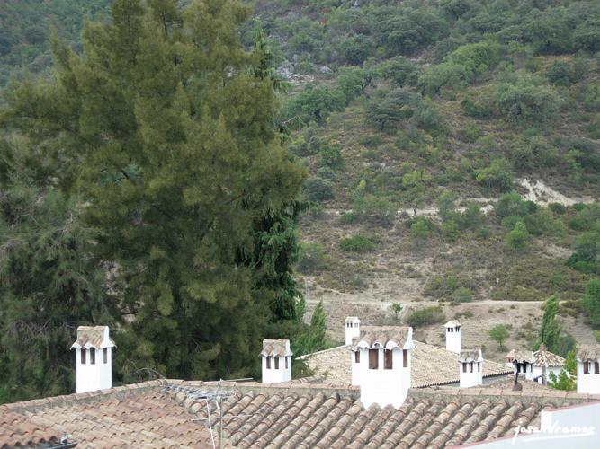 Foto de Benamahoma (Cádiz), España