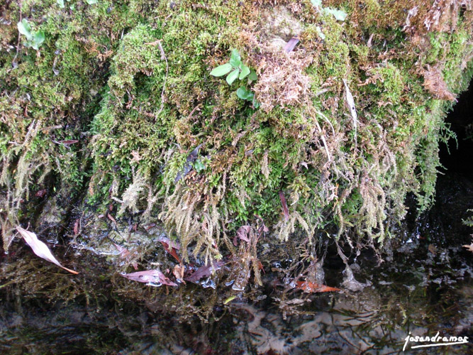 Foto de Benamahoma (Cádiz), España