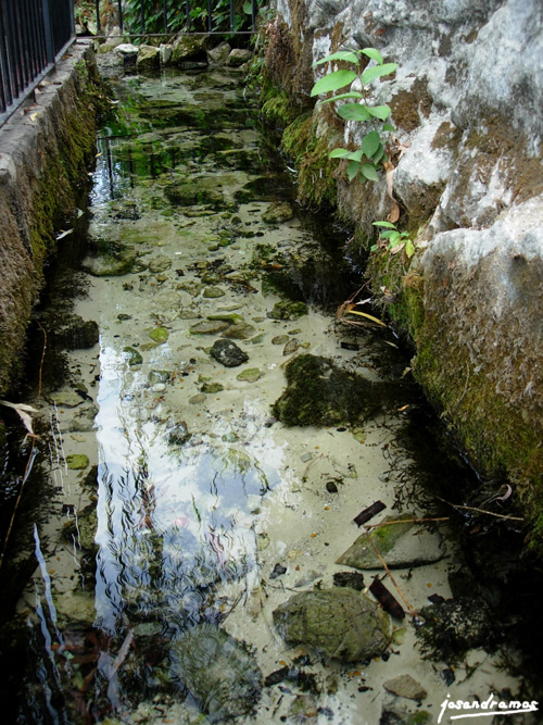Foto de Benamahoma (Cádiz), España