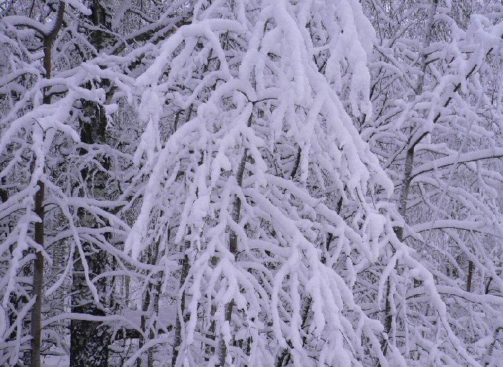 Foto de Rajamaki, Finlandia