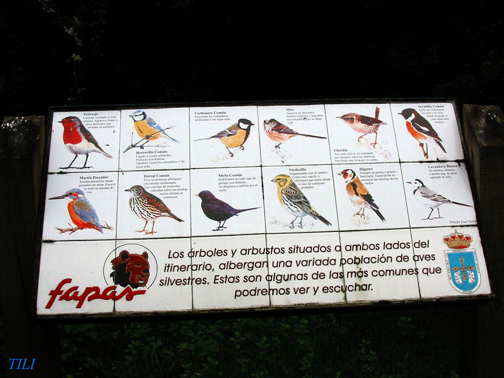 Foto de La Manjoya (Asturias), España