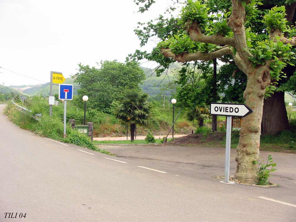 Foto de Caces (Asturias), España