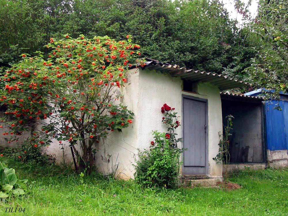 Foto de Figarines (Asturias), España