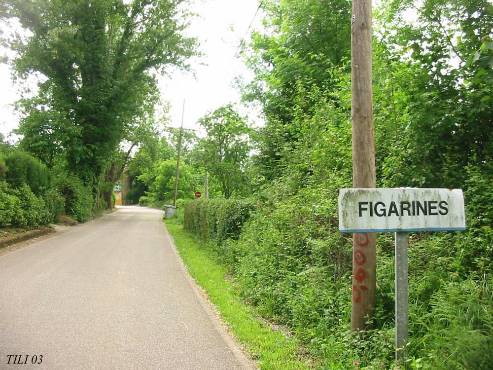 Foto de Figarines (Asturias), España