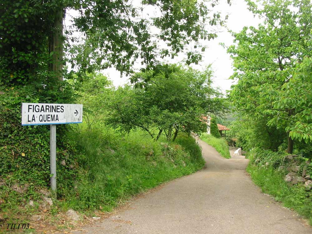 Foto de Figarines (Asturias), España