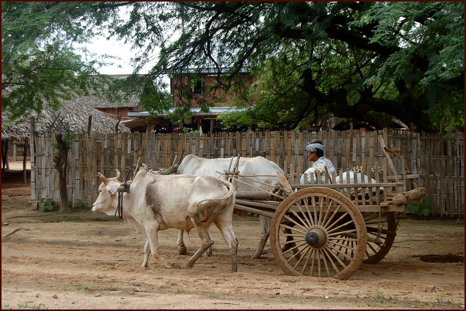 Foto de BAGAN, Myanmar