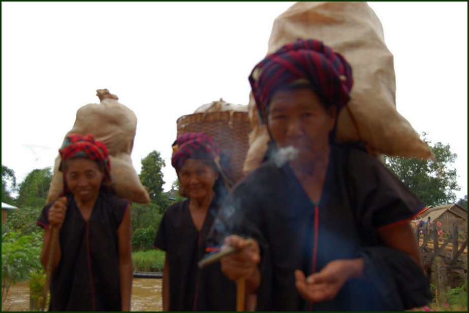 Foto de LAGO INLE, Myanmar