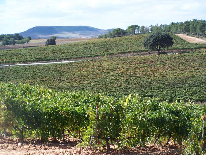 Foto de La Horra (Burgos), España