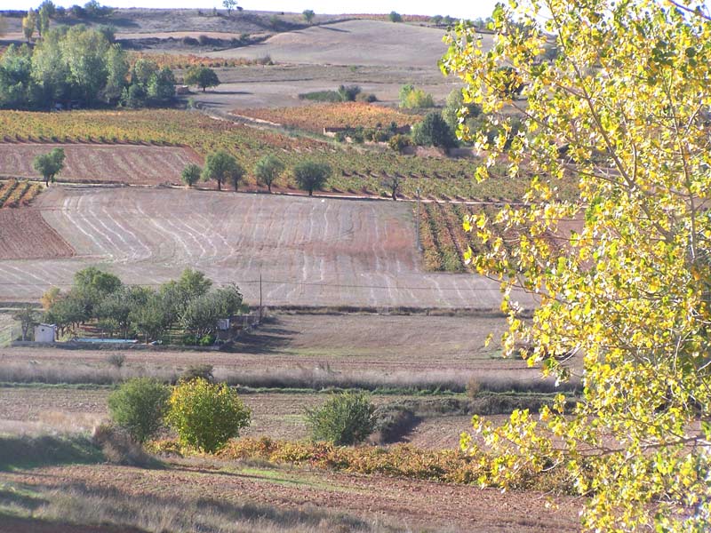 Foto de La Horra (Burgos), España