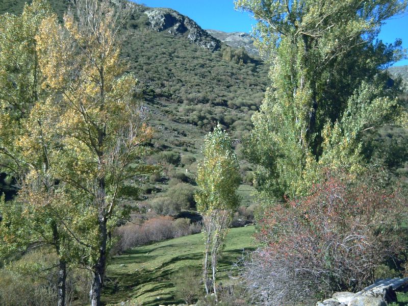 Foto de Cardaño de Arriba (Palencia), España