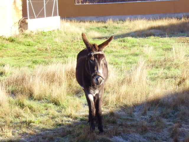Foto de Truchas (León), España
