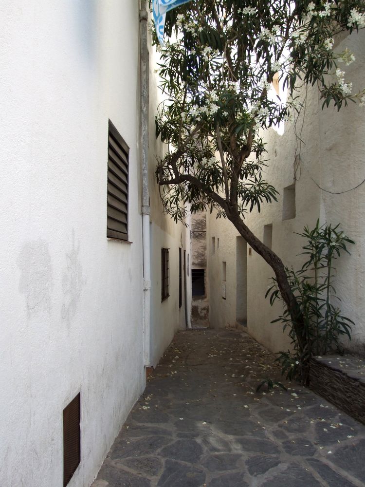 Foto de Cadaqués (Girona), España