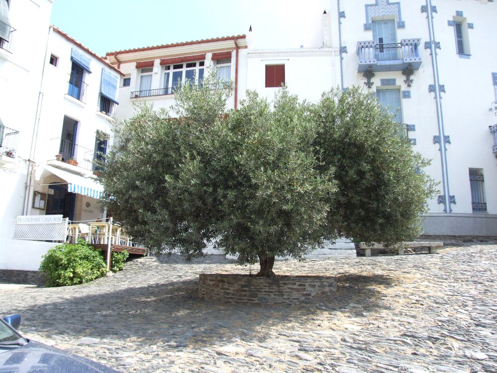Foto de Cadaqués (Girona), España