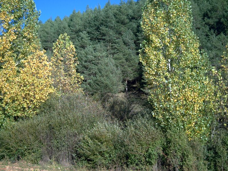 Foto de Respenda de la Peña (Palencia), España