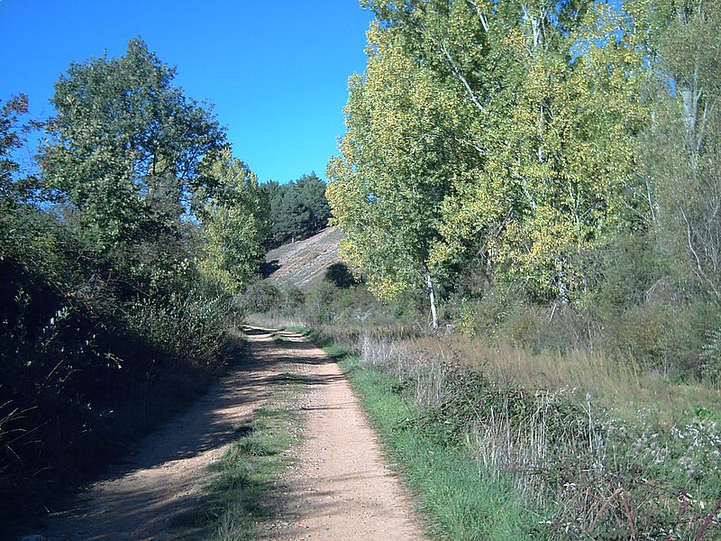 Foto de Respenda de la Peña (Palencia), España