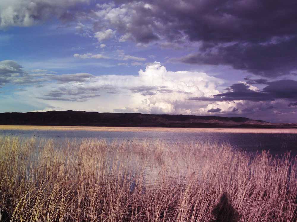 Foto de Laguna de Pitilla (Navarra), España