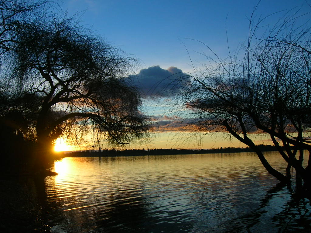 Foto de Puyehue, Chile
