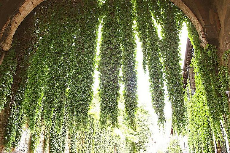 Foto de Roma, Italia