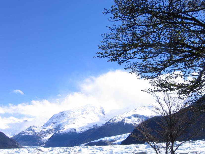 Foto de EL CALAFATE, Argentina