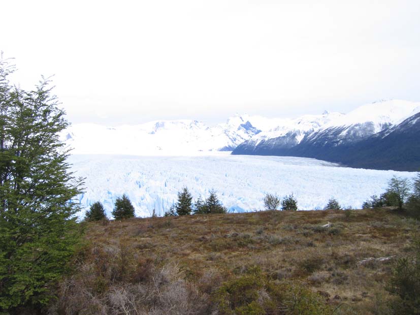 Foto de EL CALAFATE, Argentina