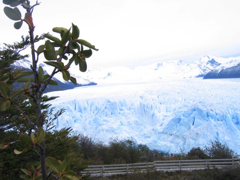 Foto de EL CALAFATE, Argentina