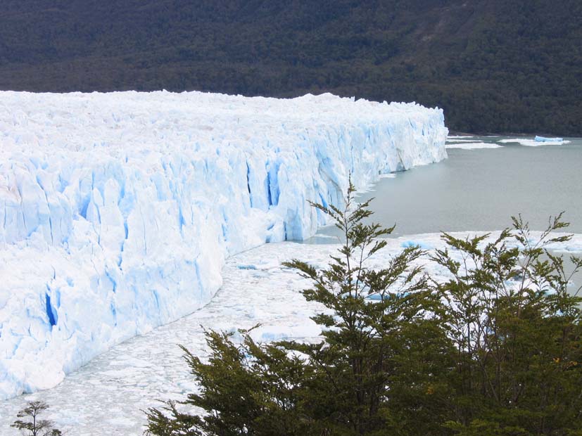 Foto de EL CALAFATE, Argentina