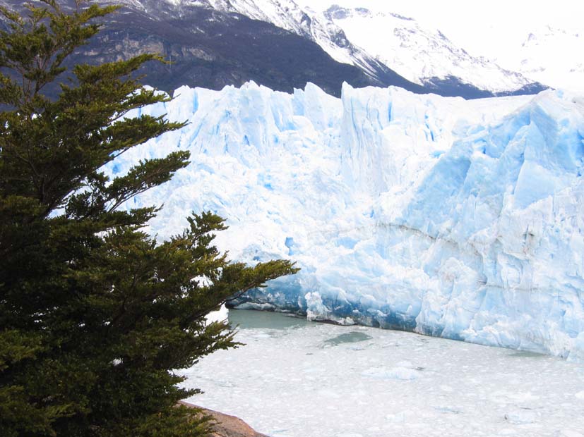Foto de EL CALAFATE, Argentina