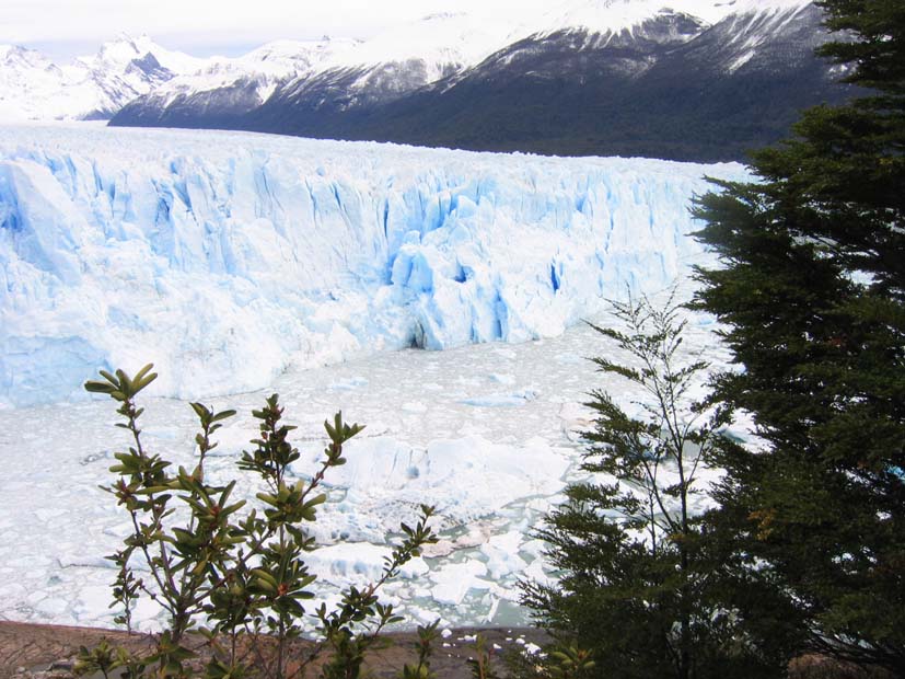 Foto de EL CALAFATE, Argentina